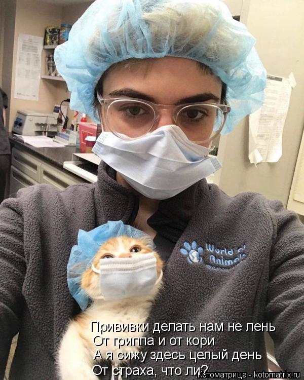 Прививки делать нам не лень От гриппа и от кори А я сижу здесь целый день От страха, что ли?... Котоматрица: Прививки делать нам не лень От гриппа и от кори А я сижу здесь целый день От страха, что ли?