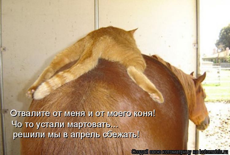 Отвалите от меня и от моего коня! Чо то устали мартовать... решили мы в апрель сбежать!... Котоматрица: Отвалите от меня и от моего коня! Чо то устали мартовать... решили мы в апрель сбежать!