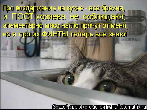 Котоматрица: Про воздержание на кухне - всё брехня, и  ПОСТ хозяева  не  соблюдают, элементарно мясо нагло прячут от меня, но я про их ФИНТЫ теперь всё знаю!