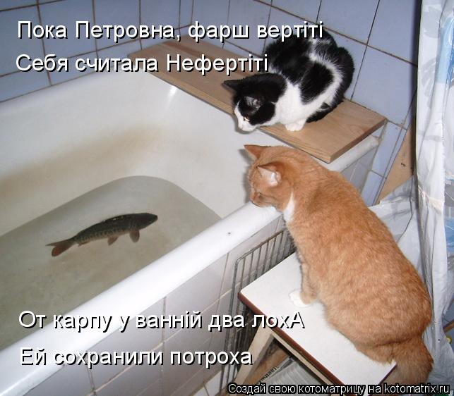Пока Петровна, фарш вертiтi Себя считала Нефертiтi От карпу у ваннiй два лохА Ей сохранили потроха... Котоматрица: Пока Петровна, фарш вертiтi Себя считала Нефертiтi От карпу у ваннiй два лохА Ей сохранили потроха