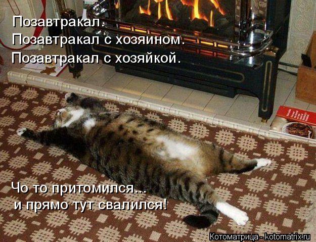 Котоматрица: Позавтракал. Позавтракал с хозяином. Позавтракал с хозяйкой. Чо то притомился... и прямо тут свалился!