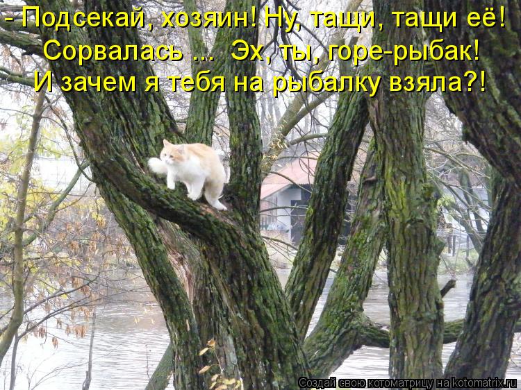- Подсекай, хозяин! Ну, тащи, тащи её! Сорвалась ... Эх, ты, горе-рыбак! И зачем я тебя на рыбалку ... Котоматрица: - Подсекай, хозяин! Ну, тащи, тащи её! Сорвалась ... Эх, ты, горе-рыбак! И зачем я тебя на рыбалку взяла?!