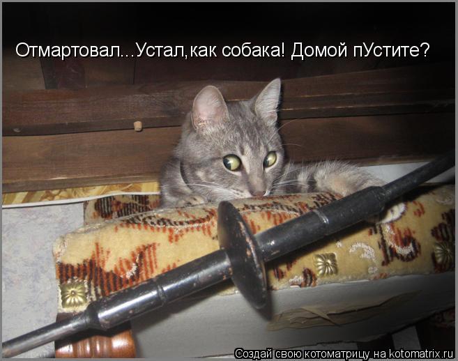 Отмартовал...Устал,как собака! Домой пУстите?... Котоматрица: Отмартовал...Устал,как собака! Домой пУстите?