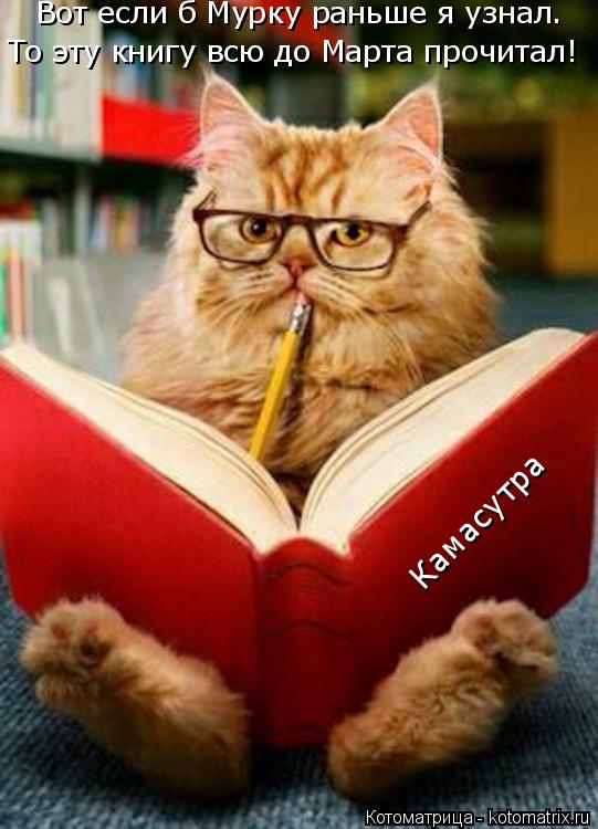 Котоматрица: Камасутра Вот если б Мурку раньше я узнал. То эту книгу всю до Марта прочитал!