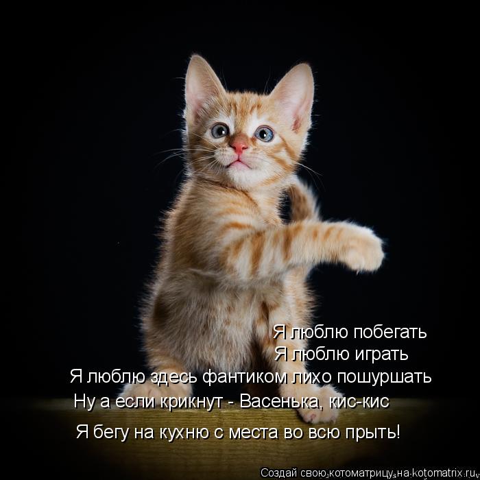 Котоматрица: Я люблю побегать Я люблю играть Я люблю здесь фантиком лихо пошуршать Ну а если крикнут - Васенька, кис-кис Я бегу на кухню с места во всю пры?