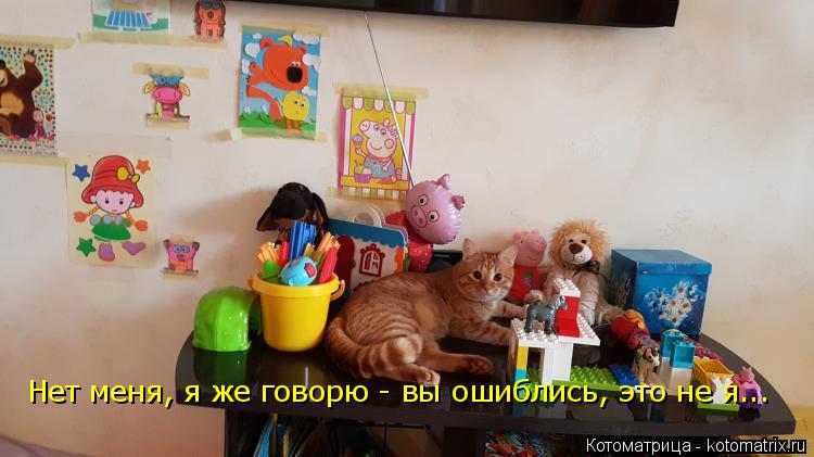 Нет меня, я же говорю - вы ошиблись, это не я...... Котоматрица: Нет меня, я же говорю - вы ошиблись, это не я...