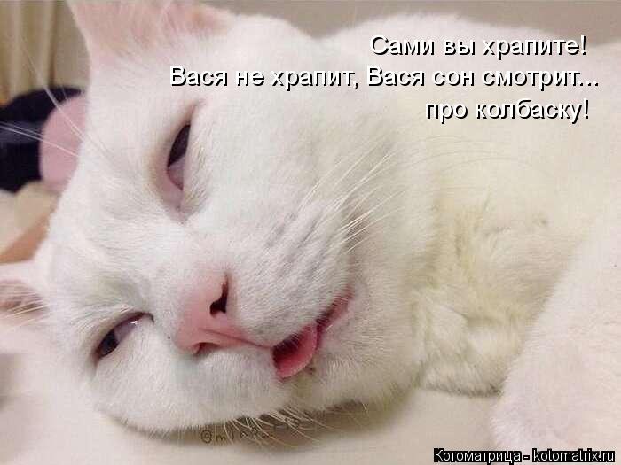 Котоматрица: Сами вы храпите! Вася не храпит, Вася сон смотрит... про колбаску!