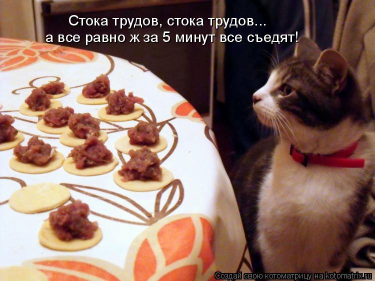 Стока трудов, стока трудов... а все равно ж за 5 минут все съедят!... Котоматрица: Стока трудов, стока трудов... а все равно ж за 5 минут все съедят!
