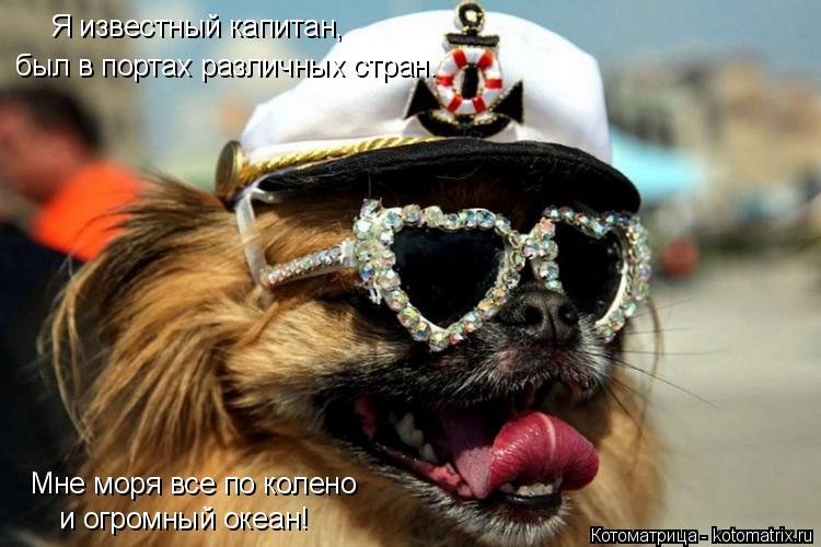 Котоматрица: Я известный капитан, был в портах различных стран. и огромный океан! Мне моря все по колено
