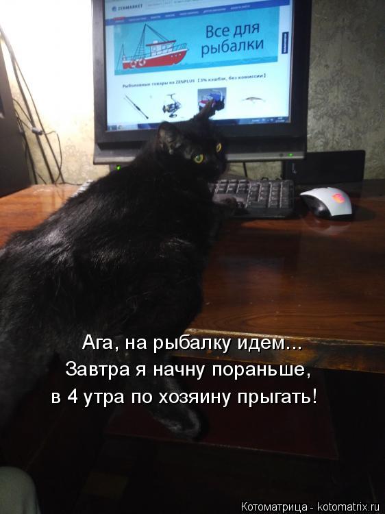 Котоматрица: Ага, на рыбалку идем... Завтра я начну пораньше,  в 4 утра по хозяину прыгать!