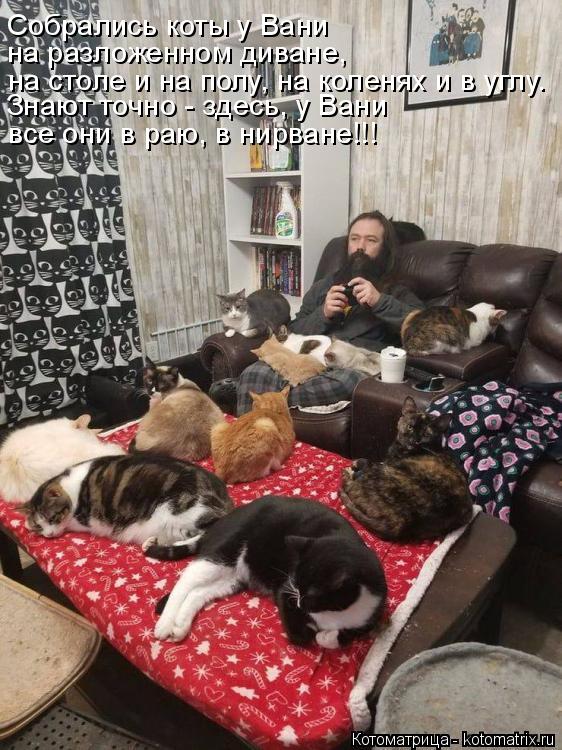 Котоматрица: Собрались коты у Вани на разложенном диване, Знают точно - здесь, у Вани  все они в раю, в нирване!!! на столе и на полу, на коленях и в углу.