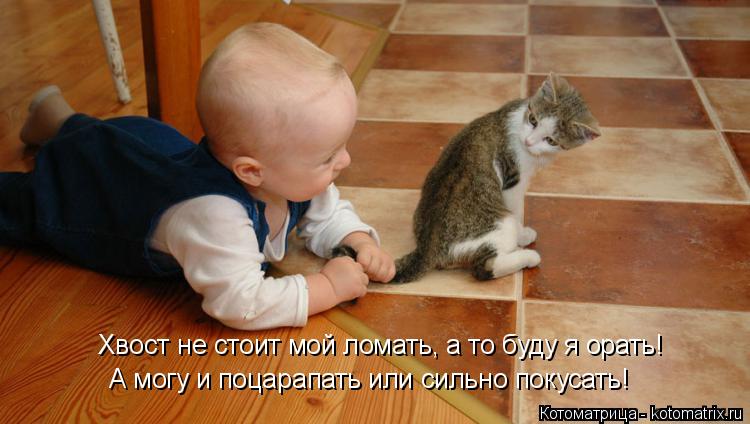 Котоматрица: А могу и поцарапать или сильно покусать! Хвост не стоит мой ломать, а то буду я орать!