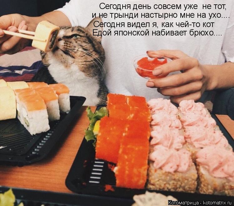 Котоматрица: Сегодня день совсем уже  не тот,  и не трынди настырно мне на ухо.... Сегодня видел я, как чей-то кот Едой японской набивает брюхо....