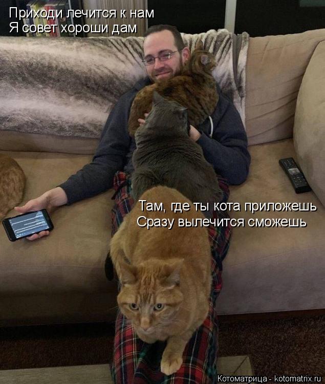 Котоматрица: Приходи лечится к нам Я совет хороши дам Там, где ты кота приложешь Сразу вылечится сможешь