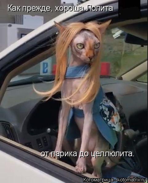 Котоматрица: Как прежде, хороша Лолита  от парика до целлюлита.
