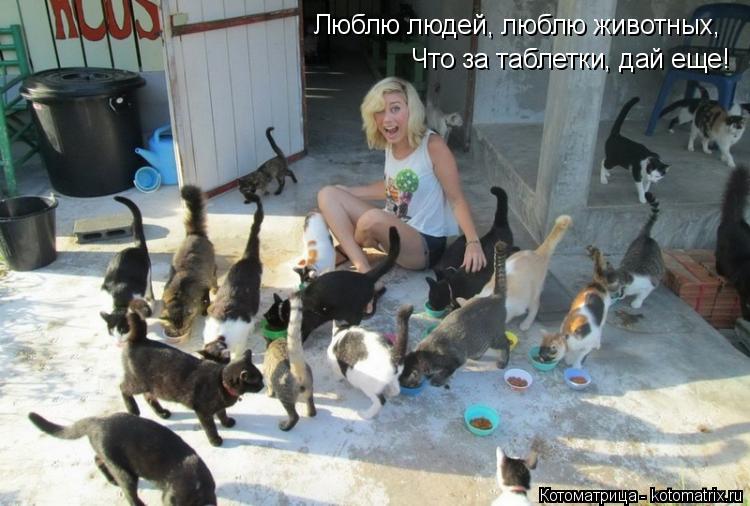 Люблю людей, люблю животных, Что за таблетки, дай еще!... Котоматрица: Люблю людей, люблю животных, Что за таблетки, дай еще!