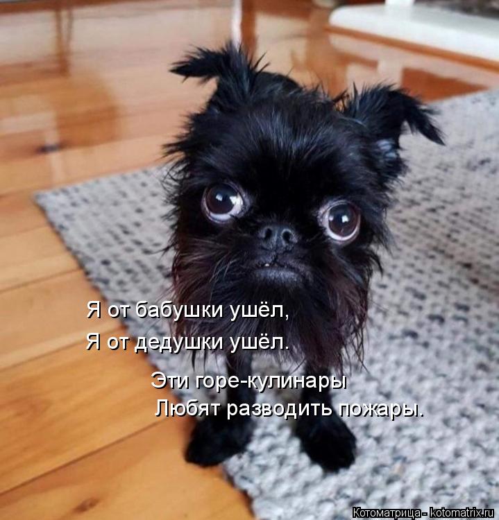 Я от бабушки ушёл, Я от дедушки ушёл. Эти горе-кулинары Любят разводить пожары.... Котоматрица: Я от бабушки ушёл, Я от дедушки ушёл. Эти горе-кулинары Любят разводить пожары.