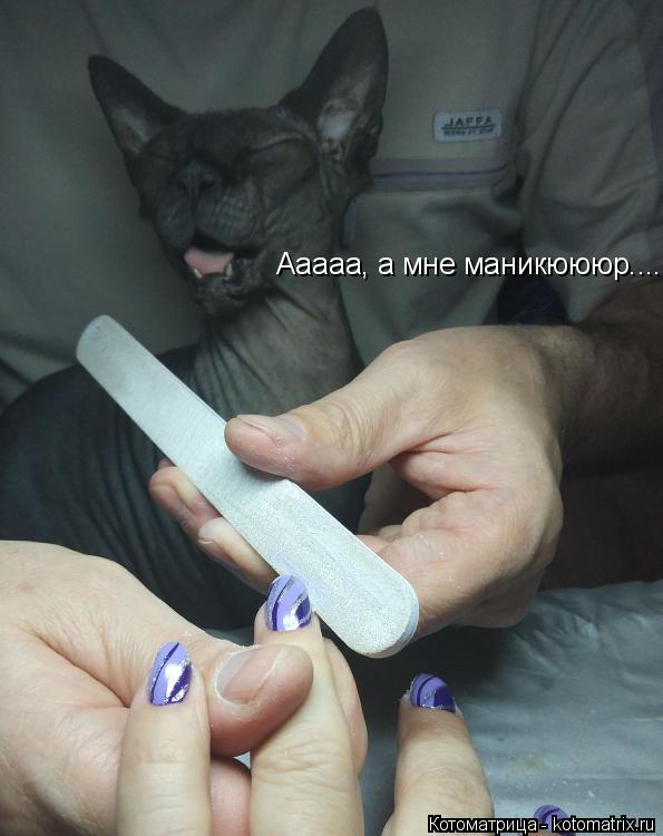 Ааааа, а мне маникюююр........ Котоматрица: Ааааа, а мне маникюююр.....