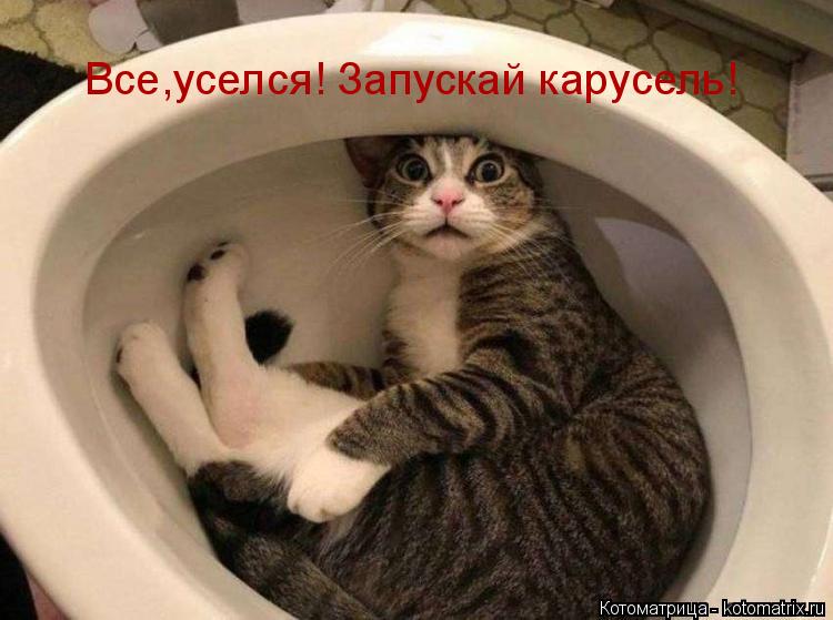 Все,уселся! Запускай карусель!... Котоматрица: Все,уселся! Запускай карусель!
