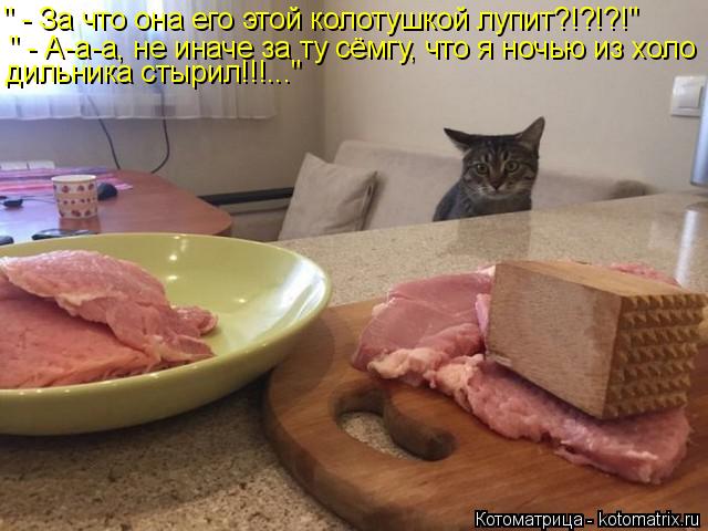 " - За что она его этой колотушкой лупит?!?!?!" " - А-а-а, не иначе за ту сёмгу, что я ночью из холо ... Котоматрица: " - За что она его этой колотушкой лупит?!?!?!" " - А-а-а, не иначе за ту сёмгу, что я ночью из холо дильника стырил!!!..."