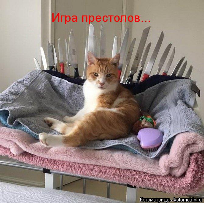 Котоматрица: Игра престолов...