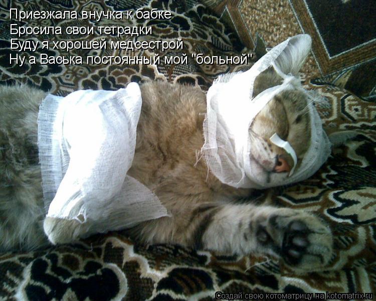 Приезжала внучка к бабке Бросила свои тетрадки Буду я хорошей медсестрой Ну а Васька постоянный мой "... Котоматрица: Приезжала внучка к бабке Бросила свои тетрадки Буду я хорошей медсестрой Ну а Васька постоянный мой "больной"