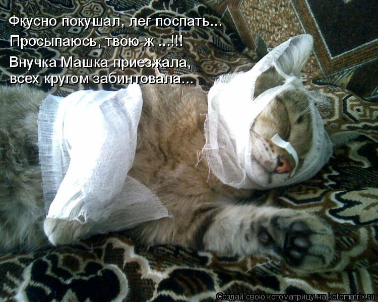 Фкусно покушал, лег поспать... Просыпаюсь, твою ж ...!!! Внучка Машка приезжала, всех кругом забинтов... Котоматрица: Фкусно покушал, лег поспать... Просыпаюсь, твою ж ...!!! Внучка Машка приезжала, всех кругом забинтовала...