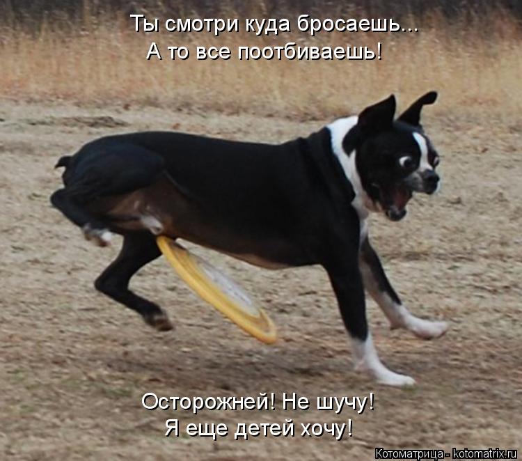 Ты смотри куда бросаешь... А то все поотбиваешь! Я еще детей хочу! Осторожней! Не шучу!... Котоматрица: Ты смотри куда бросаешь... А то все поотбиваешь! Я еще детей хочу! Осторожней! Не шучу!