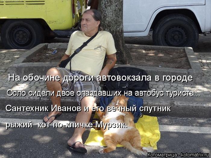 На обочине дороги автовокзала в городе Осло сидели двое опаздавших на автобус туриста... Осло сидели ... Котоматрица: На обочине дороги автовокзала в городе Осло сидели двое опаздавших на автобус туриста... Осло сидели двое опаздавших на автобус туриста... С?