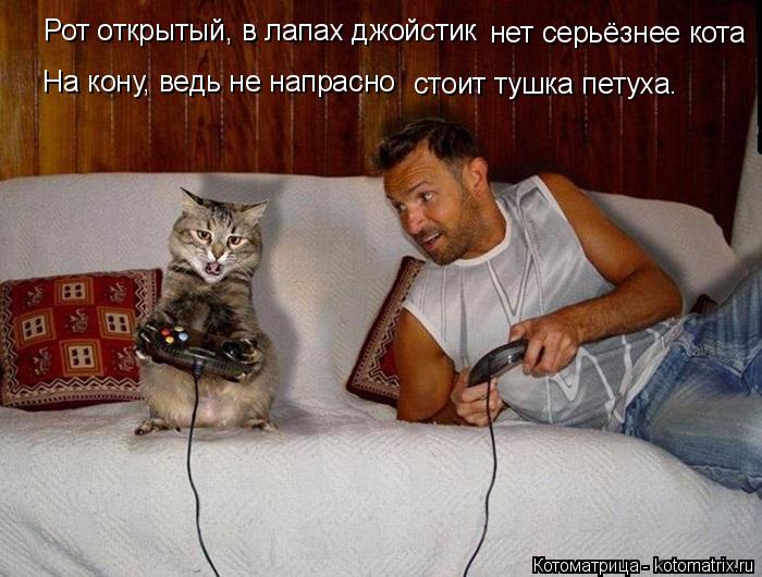 Рот открытый, в лапах джойстик нет серьёзнее кота На кону, ведь не напрасно стоит тушка петуха.... Котоматрица: Рот открытый, в лапах джойстик нет серьёзнее кота На кону, ведь не напрасно стоит тушка петуха.