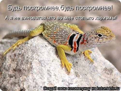 Будь поскромнее,будь поскромнее! А я не виноватая,что во мне столько харизмы!... Котоматрица: Будь поскромнее,будь поскромнее! А я не виноватая,что во мне столько харизмы!