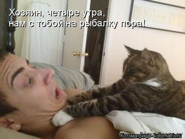 Котоматрица: Хозяин, четыре утра, нам с тобой на рыбалку пора!