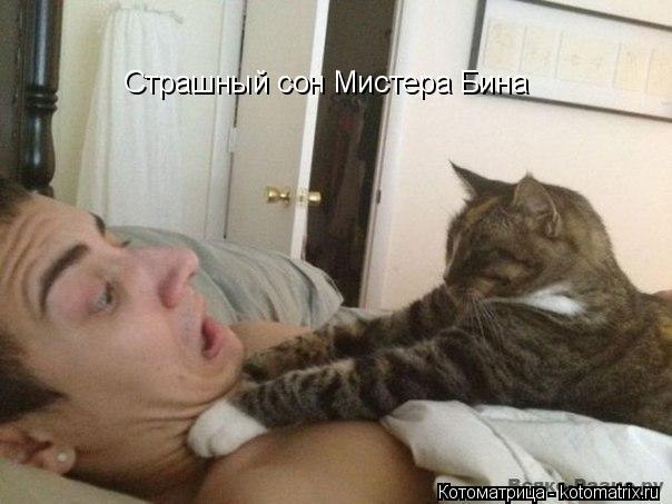 Котоматрица: Страшный сон Мистера Бина