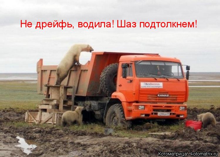 Котоматрица: Не дрейфь, водила! Шаз подтолкнем!