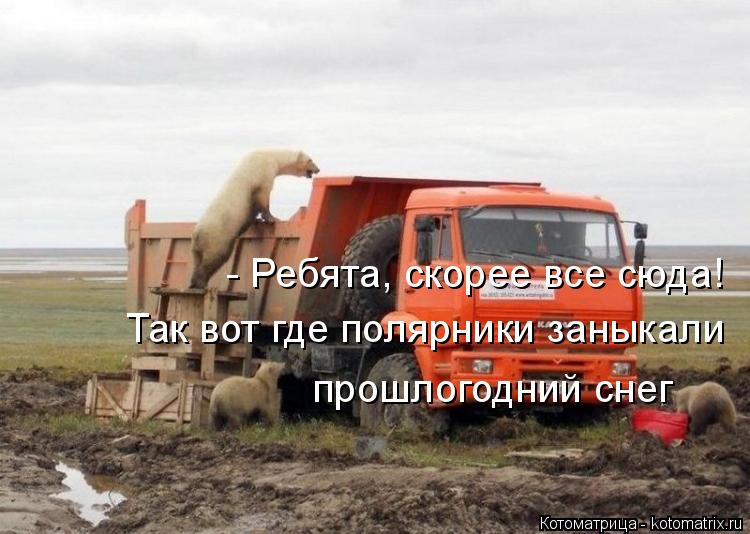 - Ребята, скорее все сюда! Так вот где полярники заныкали прошлогодний снег... Котоматрица: - Ребята, скорее все сюда! Так вот где полярники заныкали прошлогодний снег