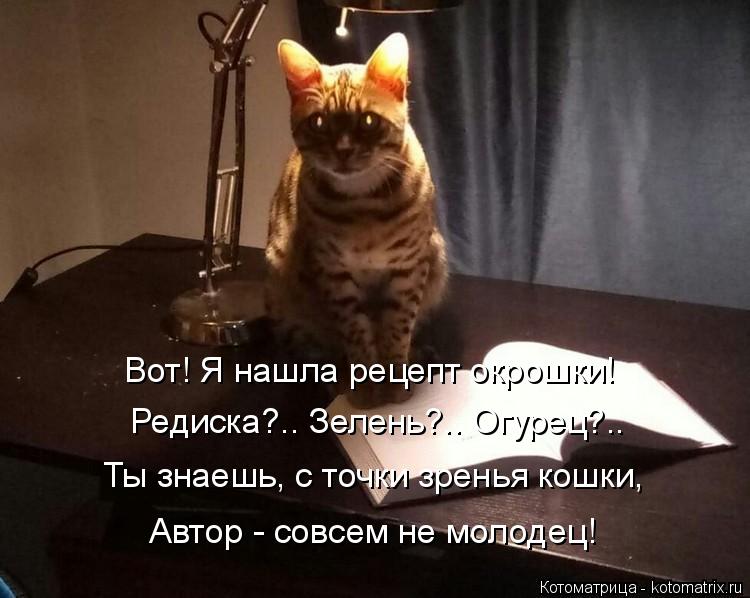 Вот! Я нашла рецепт окрошки! Редиска?.. Зелень?.. Огурец?.. Ты знаешь, с точки зренья кошки, Автор - ... Котоматрица: Вот! Я нашла рецепт окрошки! Редиска?.. Зелень?.. Огурец?.. Ты знаешь, с точки зренья кошки, Автор - совсем не молодец!