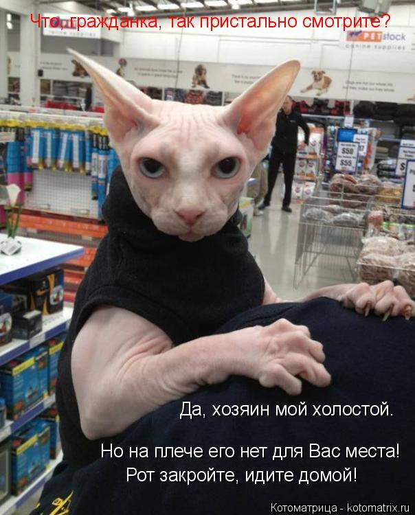 Что, гражданка, так пристально смотрите? Да, хозяин мой холостой. Но на плече его нет для Вас места! ... Котоматрица: Что, гражданка, так пристально смотрите? Да, хозяин мой холостой. Но на плече его нет для Вас места! Рот закройте, идите домой!
