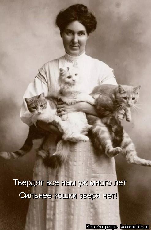 Твердят все нам уж много лет Сильнее кошки зверя нет!... Котоматрица: Твердят все нам уж много лет Сильнее кошки зверя нет!