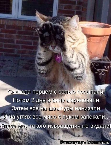 Сначала перцем с солью посыпали. Затем все на шампуры нанизали. Потом 2 дня в вине мариновали. И на у... Котоматрица: Сначала перцем с солью посыпали. Затем все на шампуры нанизали. Потом 2 дня в вине мариновали. И на углях все мясо с луком запекали... Глаза мо?