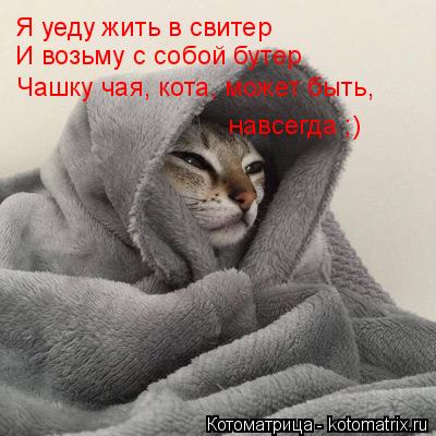 Я уеду жить в свитер Я уеду жить в свитер И возьму с собой бутер Чашку чая, кота, может быть, навсегд... Котоматрица: Я уеду жить в свитер Я уеду жить в свитер И возьму с собой бутер Чашку чая, кота, может быть, навсегда ;)