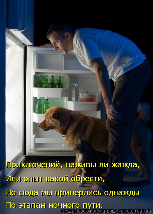 Приключений, наживы ли жажда, Или опыт какой обрести, Но сюда мы приперлись однажды По этапам ночног... Котоматрица: Приключений, наживы ли жажда, Или опыт какой обрести, Но сюда мы приперлись однажды По этапам ночного пути.