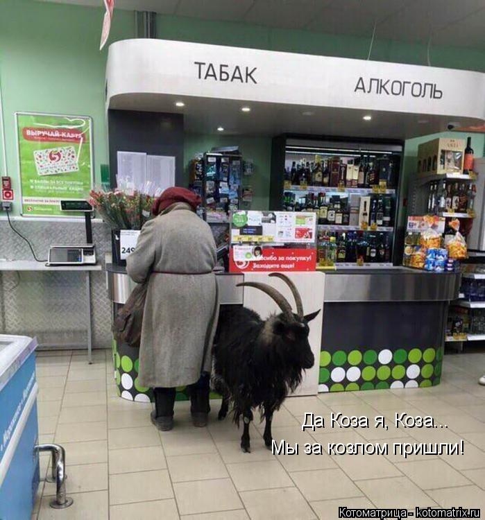 Котоматрица: Да Коза я, Коза... Мы за козлом пришли!