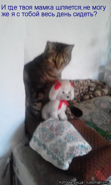 Котоматрица: И где твоя мамка шляется,не могу же я с тобой весь день сидеть? же я с тобой весь день сидеть?