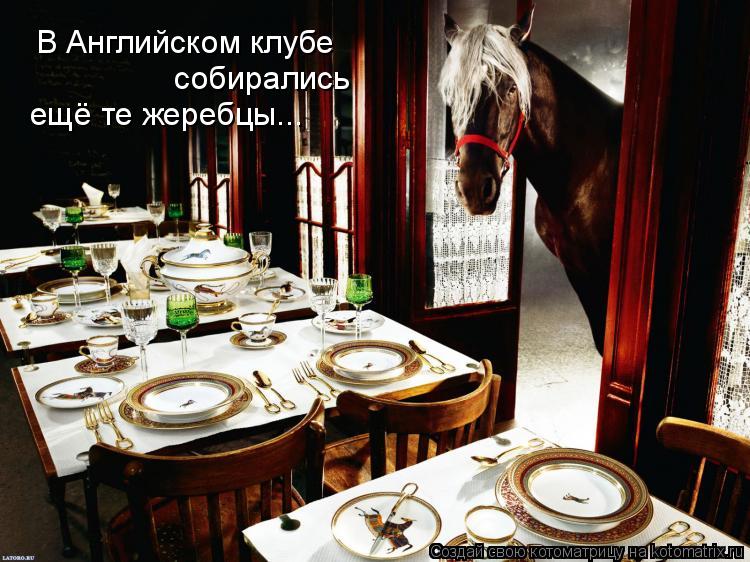 Котоматрица: В Английском клубе   собирались ещё те жеребцы...