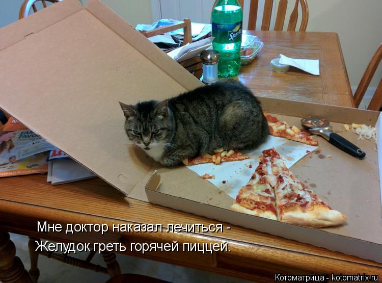 Мне доктор наказал лечиться - Желудок греть горячей пиццей.... Котоматрица: Мне доктор наказал лечиться - Желудок греть горячей пиццей.