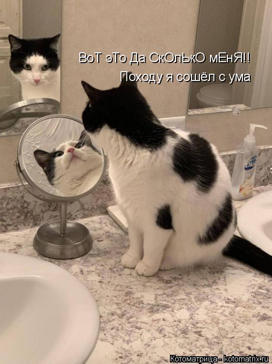 Котоматрица: ВоТ эТо Да СкОлЬкО мЕнЯ!! Походу я сошёл с ума Походу я сошёл с ума