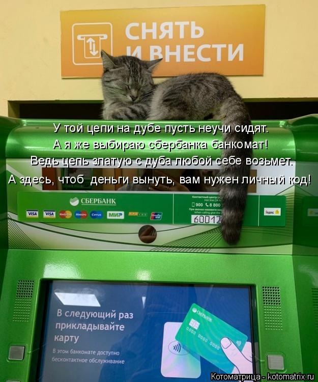 Котоматрица: У той цепи на дубе пусть неучи сидят. А я же выбираю сбербанка банкомат!  Ведь цепь златую с дуба любой себе возьмет. А здесь, чтоб  деньги вын?