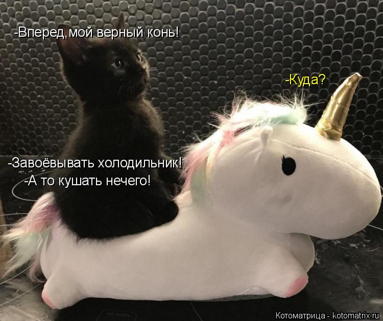 Котоматрица: -Вперед,мой верный конь! -Завоёвывать холодильник! -А то кушать нечего! -Куда?