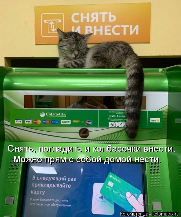 Снять, погладить и колбасочки внести. Можно прям с собой домой нести.... Котоматрица: Снять, погладить и колбасочки внести. Можно прям с собой домой нести.