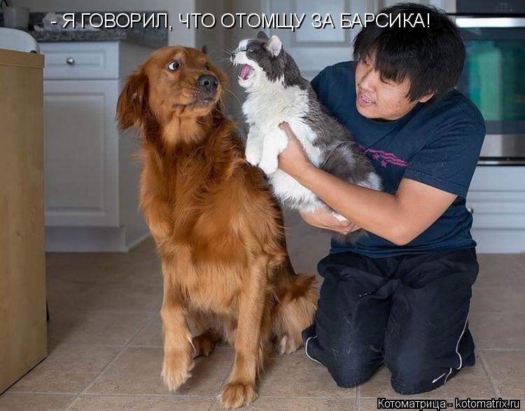 - Я ГОВОРИЛ, ЧТО ОТОМЩУ ЗА БАРСИКА!... Котоматрица: - Я ГОВОРИЛ, ЧТО ОТОМЩУ ЗА БАРСИКА!